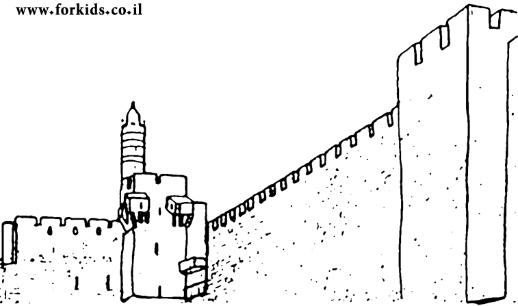 מצודת דוד לצביעה
