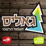 גליס