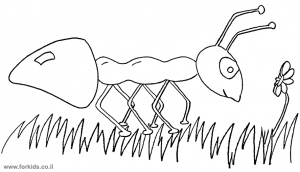 נמלה לצביעה על דשא. הנמלה מחייכת ומסתכלת על פרח. ציור של נמלה הולכת על הדשא בקטגוריה חרקים.