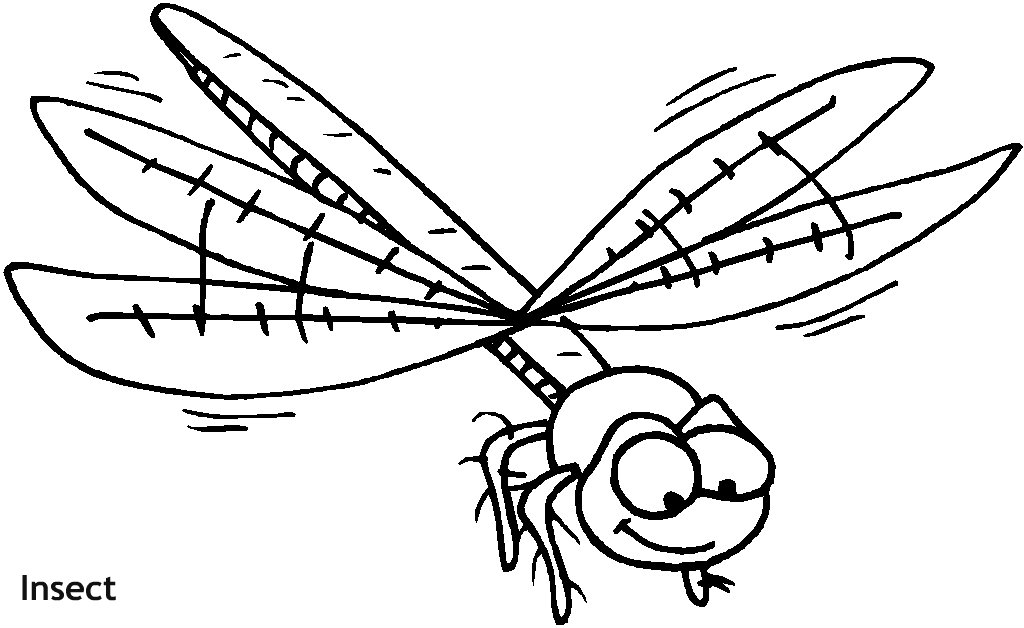 חרק מעופף לצביעה
