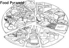 פירמידת המזון דף- צביעה