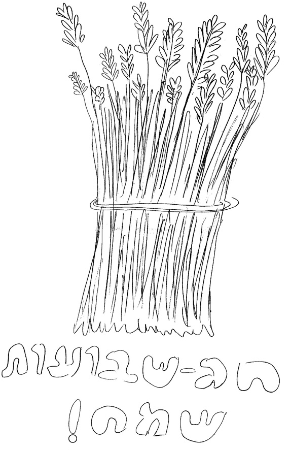 אלומה - Forkids