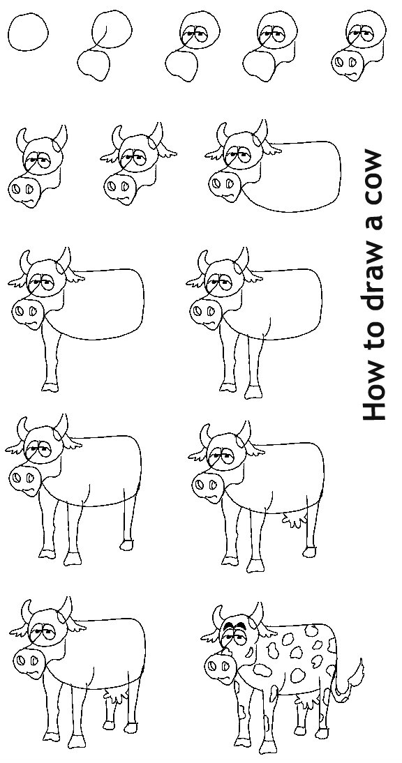 איך לצייר פרה