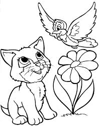 חתולה ציפור ופרח לצביעה